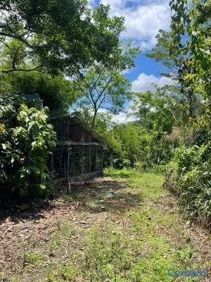 solares y terrenos - 🔵Terreno 50 tarea en  Piedra Blanca, Bonao 2