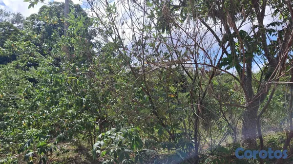 solares y terrenos - 🌴 TERRENO EN VENTA EN LAS GALERAS — A SOLO 320 MET 3
