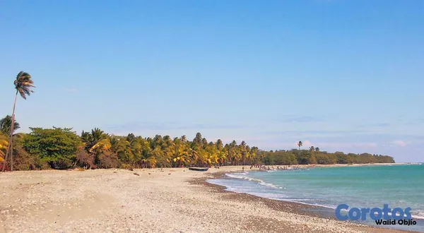 casas vacacionales y villas - Villa Amueblada en Venta Frente al Mar en Nizao 2