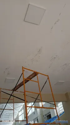 equipos profesionales - Pintamos su casa, negocio, oficina 70 por m2 usted 3