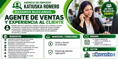 AGENTE DE VENTAS Y EXPERIENCIA AL CLIENTE