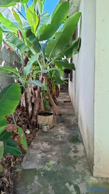 casas - Venta Casa Bella Vista ¡oportunidad Única En Bella 9