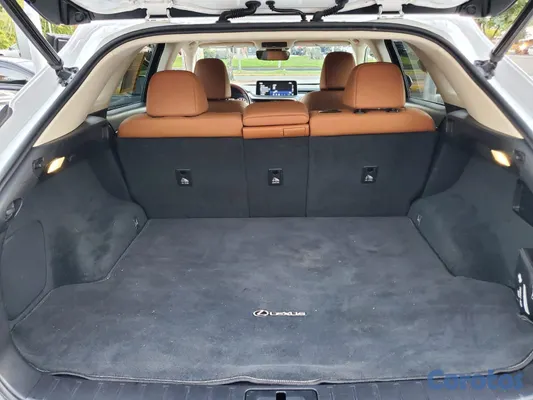 jeepetas y camionetas - Lexus RX350 2021  9
