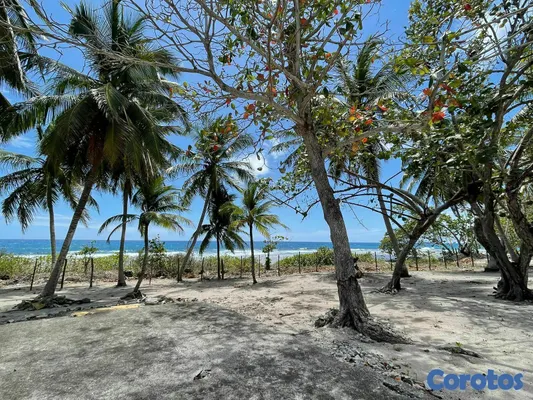 casas vacacionales y villas - Perfecto solar frente a la playa para villa o proy 14