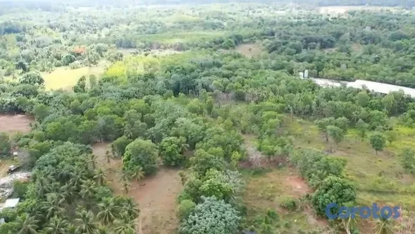 solares y terrenos - Se vende terreno por el Higüero, negociable 5