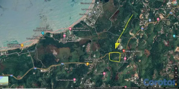 solares y terrenos - En venta terreno de 10,000 m² en Cosón, Las Terrenas 6