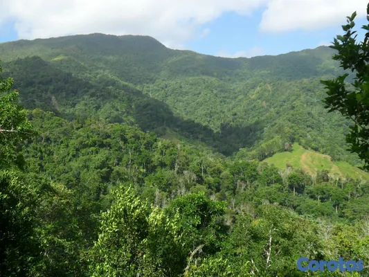 solares y terrenos - SE VENDE HERMOSA FINCA EN EL CACAO de San Cristoba 5