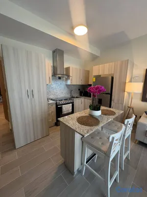apartamentos - APARTAMENTO AMUEBLADO EN VISTA CANA  10