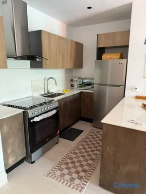 apartamentos - FURNISHED ONE-BEDROOM APARTMENT FOR RENT – PIANTIN 8