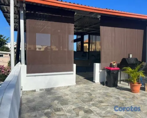 servicios profesionales - Fabricación mantenimiento de jardín vertical 5