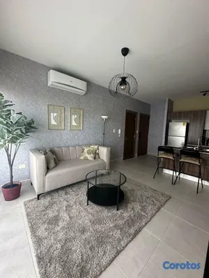 apartamentos - Zona Céntrica / Amueblado / Espectaculares Amenida 5