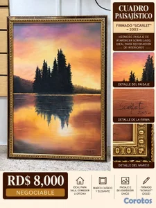 CUADRO PAISAJÍSTICO (NEGOCIABLE) USADO