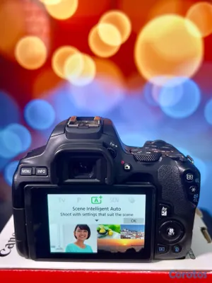 camaras y audio - Canon SL3(250D) Excelente condiciones video 4K  6