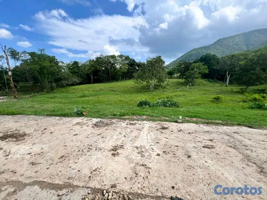 solares y terrenos - finca de criadero de animales en maimon 16