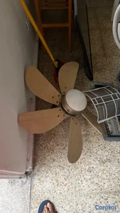 Abanico de techo led barato