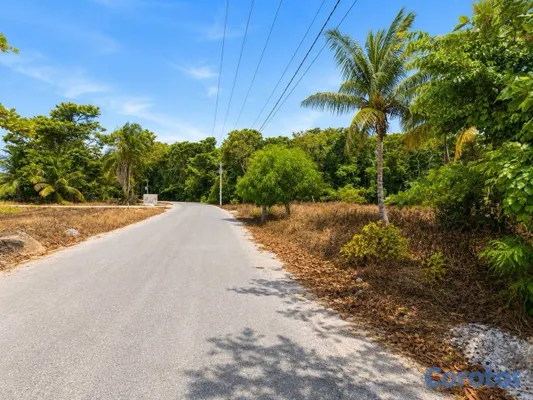 solares y terrenos - Terreno de 842 m² en Punta Popy, Las Terrenas 8
