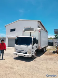 camion isuzu 2008