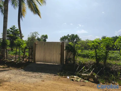 ¡SOLAR EN VENTA DE 6,000 M²!