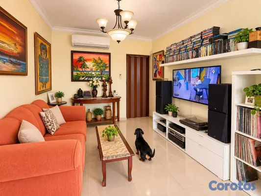 apartamentos - Oportunidad apartamento de 3 habitaciones en la Castellana  2
