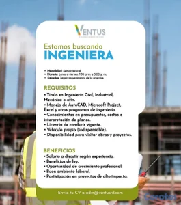 INGENIERA JUNIOR 