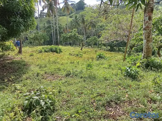 solares y terrenos - finca en venta en samana 50 tarea aproximadamente 275 mil por metro negociable 3