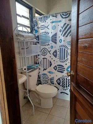 apartamentos - APARTAMENTO AMUEBLADO EN ALQUILER EN LA ZONA COLON 3