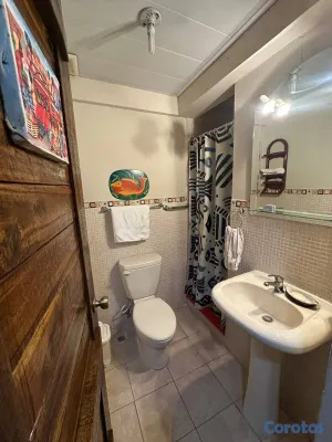 apartamentos - Alquiler de apartamento amueblado en la zona colon 5