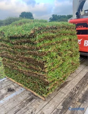 herramientas, jardines y exterior - Vendo todos tipos de paletas de zacate.

San Agustín 
Bermuda.
Zoysia.
 5