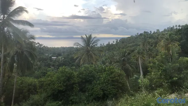 solares y terrenos - Vendo Terreno entre La Pascuala-Río los Cocos,SAMANÁ,Rep.Dominicana  2