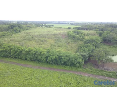 POTENCIAL PROYECTO AGROPECUARIO O ENERGÍA SOLAR  