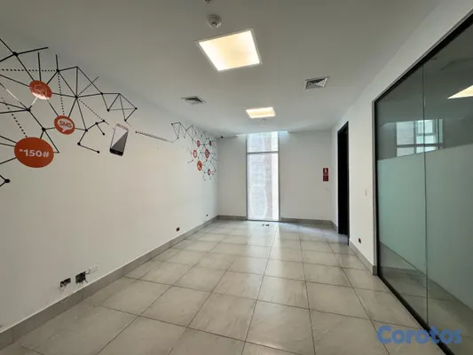 oficinas y locales comerciales - Oficina corporativa Clase A adecuada 200 m² en Alquiler Piantini, Santo Domingo 4