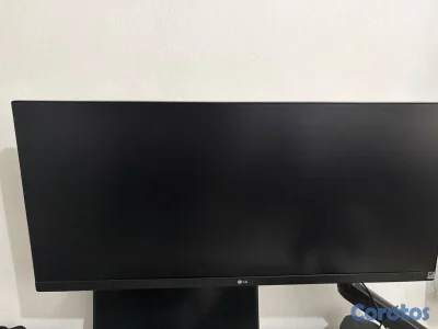 Monitor LG UltraWide de 29 pulgadas 