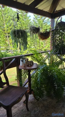 casas vacacionales y villas - Hermosa casa en Jarabacoa,rodeada de arboles a 5 minutos del centro del pueblo
 5