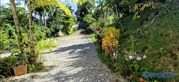 casas vacacionales y villas - EN VENTA | Villa de lujo rodeada de naturaleza en  6