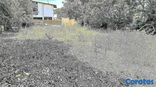 solares y terrenos - VENDO SOLAR EN JARABACOA 6