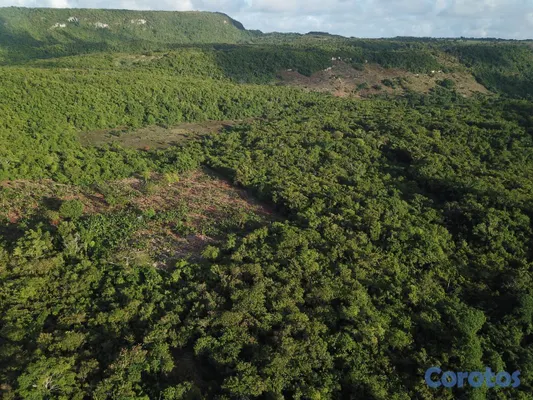 solares y terrenos - En Venta Solar en las Galeras Samana 3
