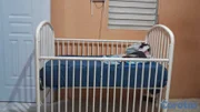 coches y sillas - Cuna para bebes 