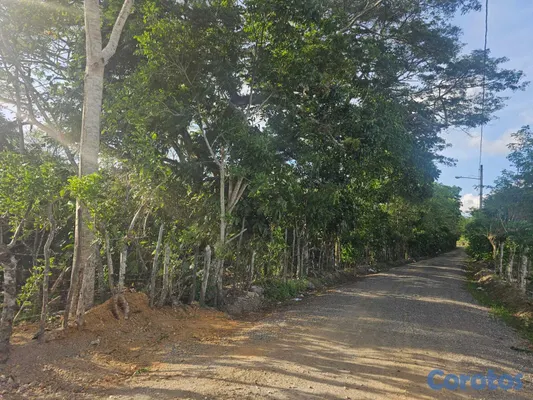 solares y terrenos - Terreno En Venta En La Joya, San Francisco De Maco 9