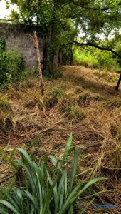 SOLAR EN VENTA