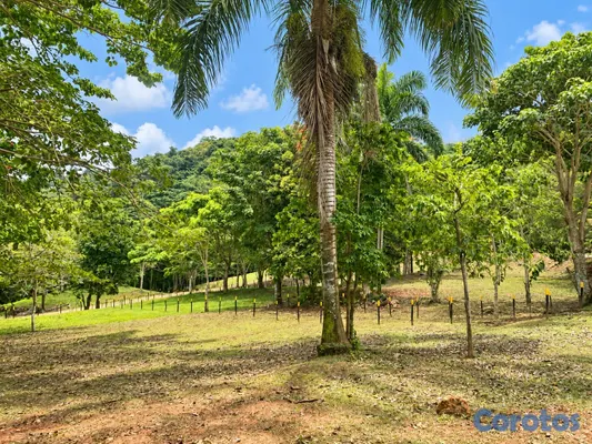 solares y terrenos - Solar 541 m2 en Las Terrenas, listo para construir

Precio: US$43,318 6