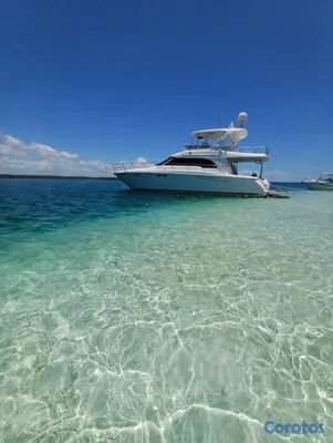botes - Yate Sea Ray Sedan bridge 58" (Monte Cristi) Excelente Estado 5