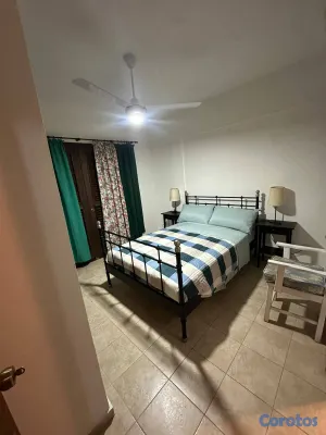 apartamentos - Alquiler de apartamento amueblado en la zona colon 6