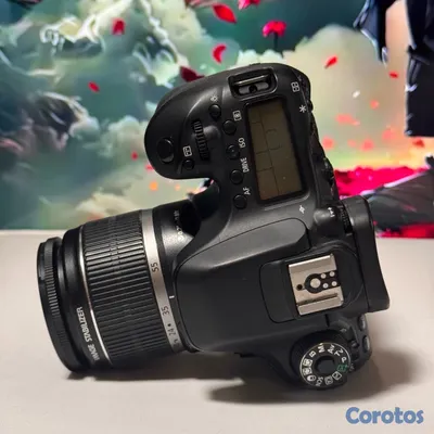 camaras y audio - Cámara Canon 80D Excelente Condiciones.  3