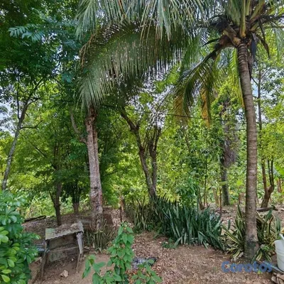 solares y terrenos - Vende Finca en Ramón Santana. 📍San Pedro de Macorí 9