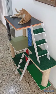 animales y mascotas - Área de juego para gatos  2