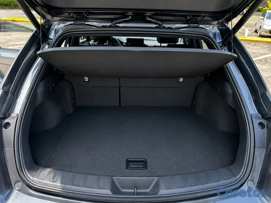 jeepetas y camionetas - Lexus UX300h 12