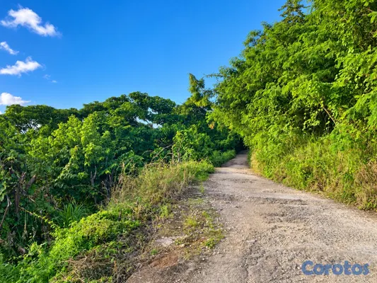 solares y terrenos - Solar 1,523 m² con vista panorámica en Pueblecito, Las Terrenas – US$122,000 4