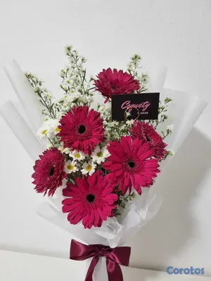 servicios profesionales - Ramo de gerberas naturales 2