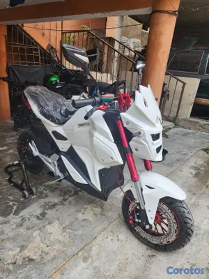 motores y pasolas - motor electrico ZP Champion  6