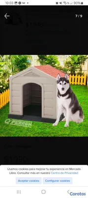 cocina - Casa para perros raza grande  4